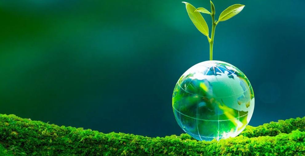 Tourism and Sustainable Development Courses